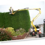 Hedge2