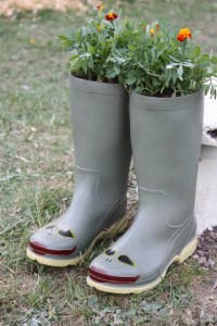 Planted wellies