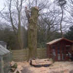 Large tree removal - sectional dismantle 1C (Small)