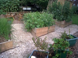 School garden - planters (Small)