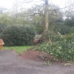 mikes phone may 14 019 (Small)