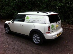 Mini Clubvan (Small)