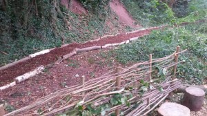 Forest School - meandering pathway & dividing hazel hedge
